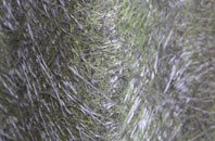 Llangower fibreglass roof work